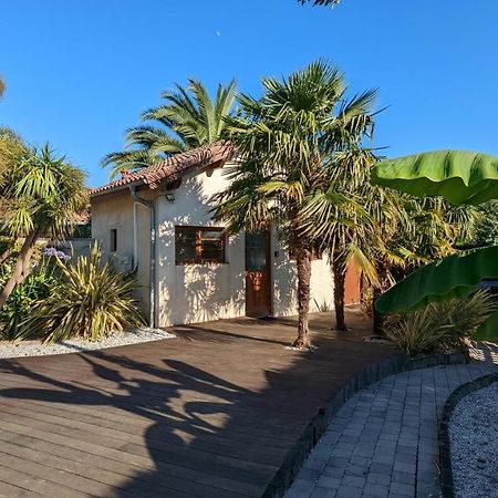 Guest House Au Milieu Des Palmiers Saint-Martin-de-Seignanx Exteriér fotografie