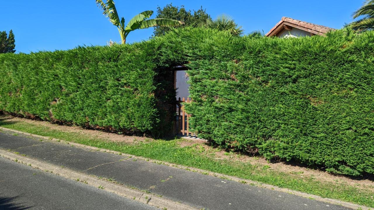 Guest House Au Milieu Des Palmiers Saint-Martin-de-Seignanx Exteriér fotografie